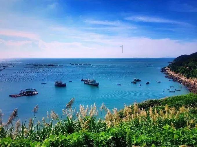 中国烟草公司一年要赚多少钱？游戏画面