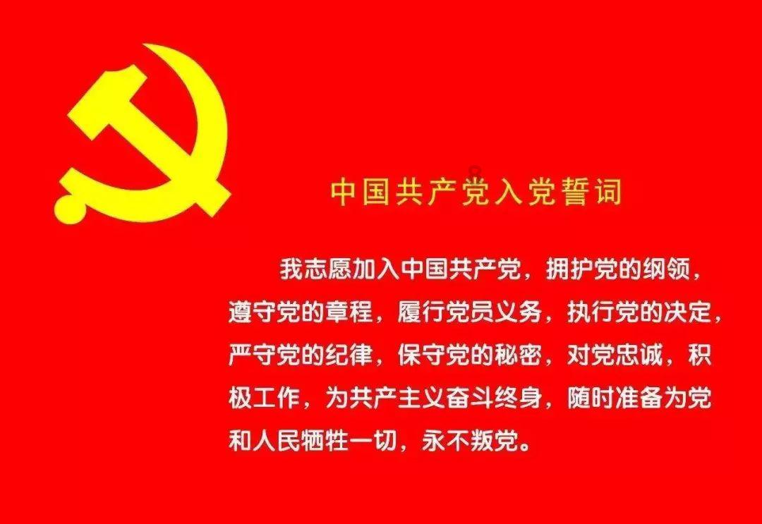做猪皮冻高压锅压好还是小火煮好游戏画面