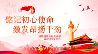 升空的泡泡2