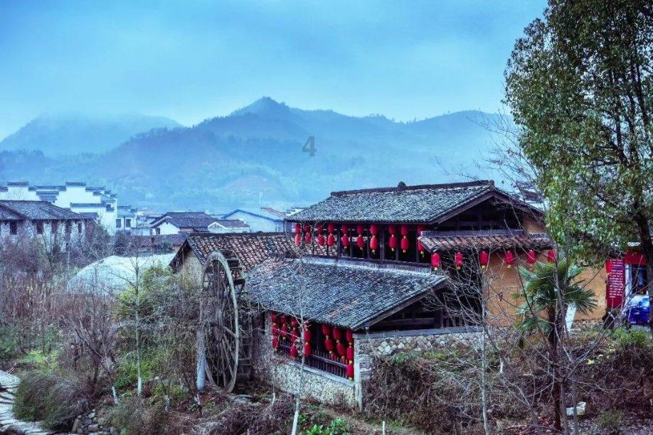 泡沫森林
